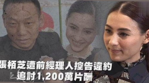深入解析：91漫画官方版下载免费版的最新发展与应用