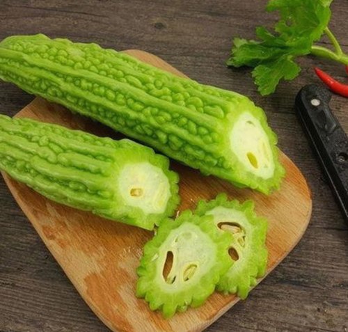 禁漫天堂下载终极手册：最新资源介绍与使用指南