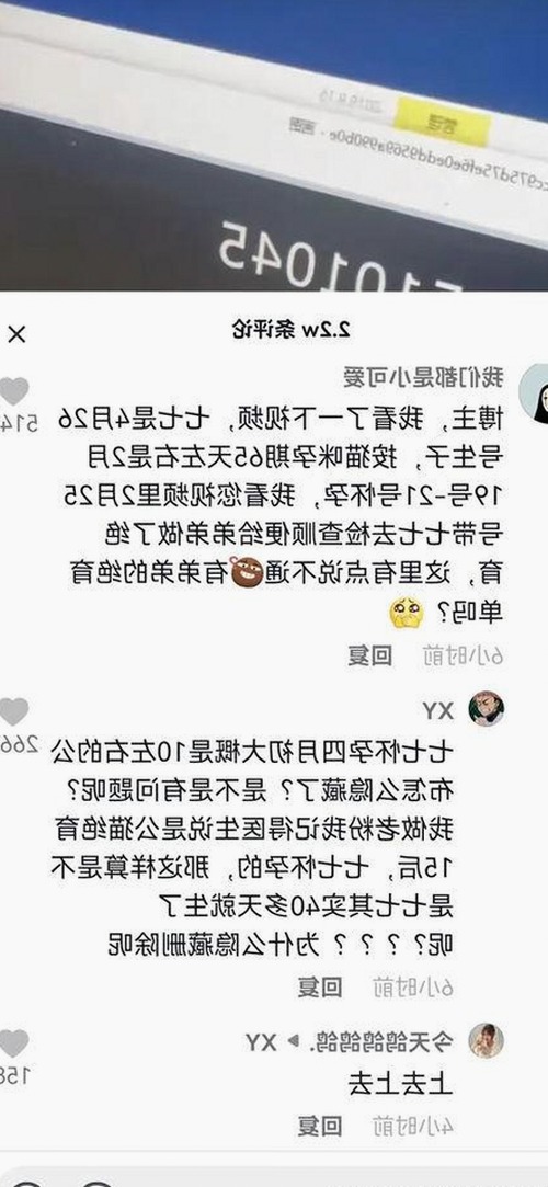 深入了解手机在线观看的最新动态：关于手机看片官方版的全面解读