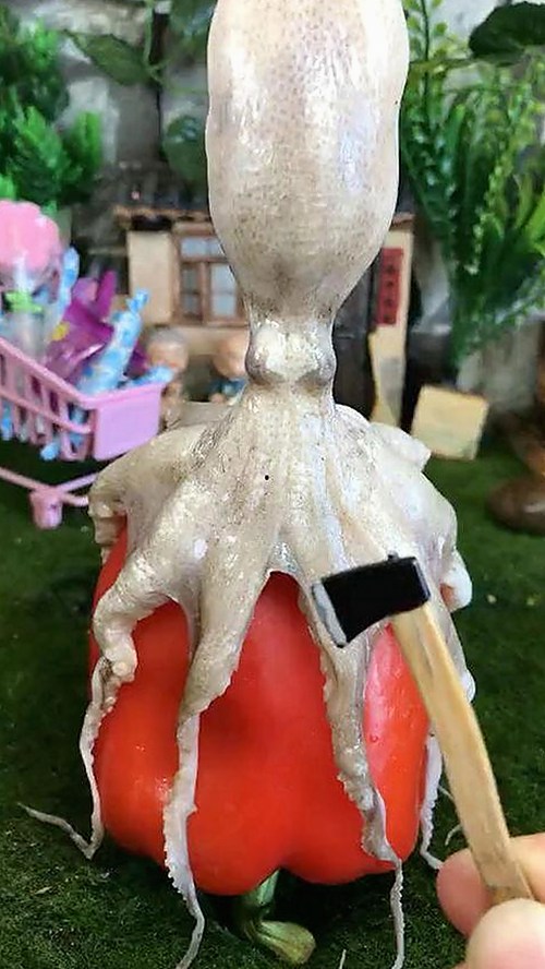 鲁鲁影院电视剧免费观看最新章节官方版下载：追剧新体验