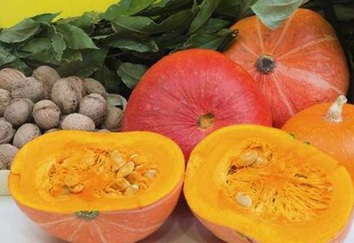 刘宇宁带你畅享《鲁鲁影院电视剧免费观看最新章节免费版下载》
