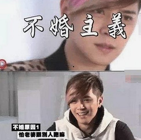 关于免费的网站www下载的详细指南与最新资源推荐