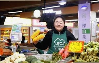 体验新潮：免费观看45分钟高清电视动漫官方免费版带来的反差魅力