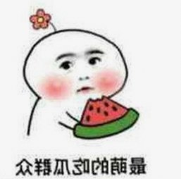 深入解析：手机看片官方版的现状与发展趋势