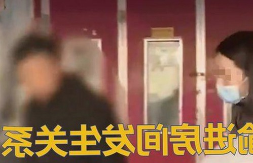 探索红桃视频官方版下载：最新版本与热门资源推荐