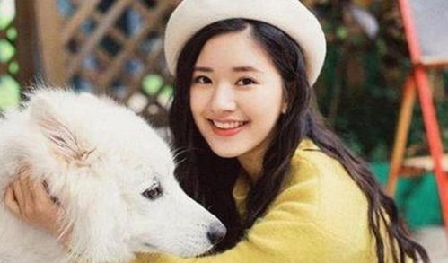 探讨动感小站在线官方版的现状与下载途径