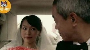 全面解析：免费91官方版下载的现状与相关资源对比