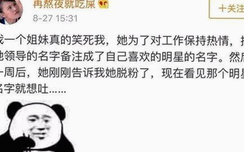 全面解析91网站官方版下载及其相关资源