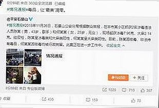 从崛起到巩固：91看片官方版下载的最新发展与挑战