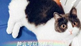 阜阳市居民热议：如何享受 免费观看45分钟高清电视动漫官方免费版的最新体验