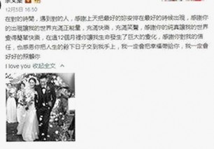 西瓜视频免费官方版正版下载带你了解最新娱乐资源与现状