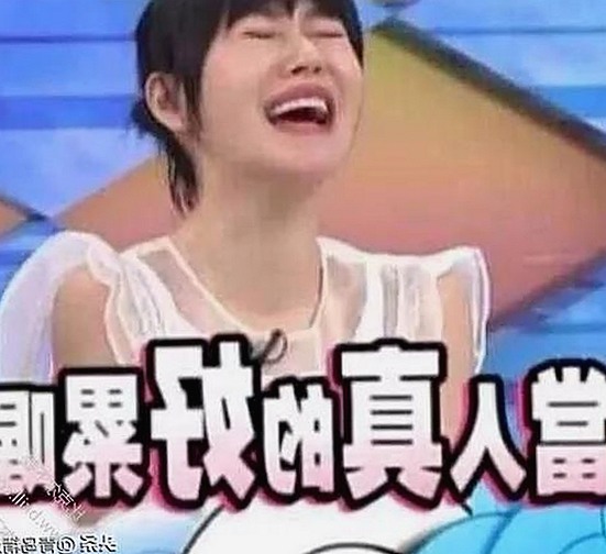 51黑料官方版免费版：探索北海市网络精彩内容与资源
