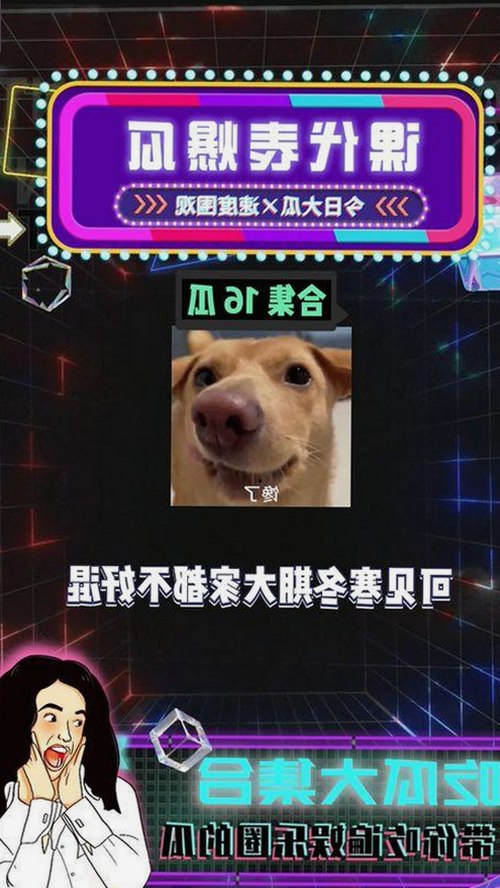 全面解析www91官方版下载：儋州市用户的最佳选择
