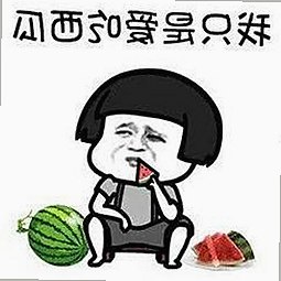 理解91免费免费版：丽江市旅游资源的便利入口