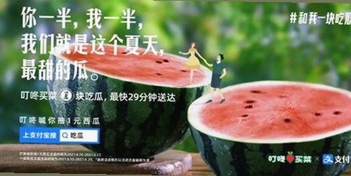 最新体验：91免费v26.7.8 安卓手机版带来全新功能与优化