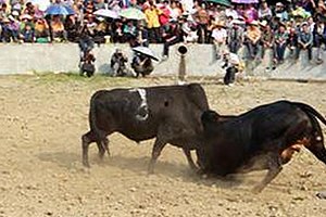 爱液官方网站安装包下载：畅享最新资源的便捷方式
