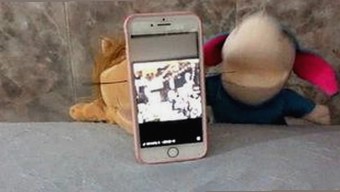 如何使用菠萝TV免费版观看河池市的热门剧集