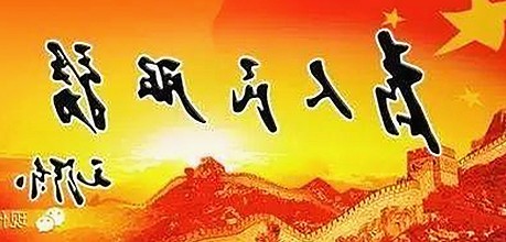 最新版本的51吃瓜网最新版下载：揭阳市用户的全新体验