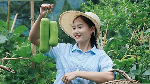 最新解读：91n官方版免费版带来极致体验，景德镇市用户热议