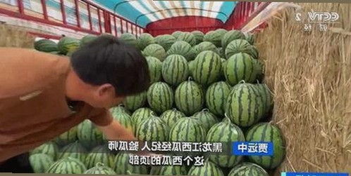从追求便利到安全保障：高清🈚码🔞❌♋免91官方版的演变与未来