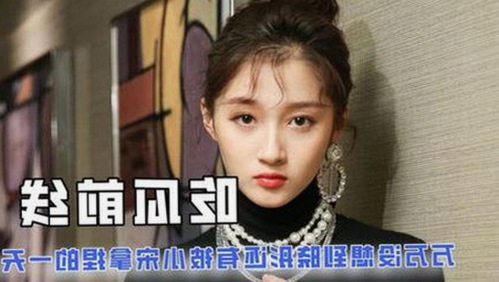 从国产TS系列到菠萝视频免费版官方版的变化与发展
