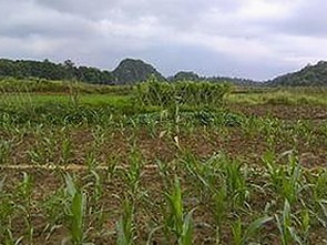 如何在线观看看片官方免费版？湛江市用户必看指南