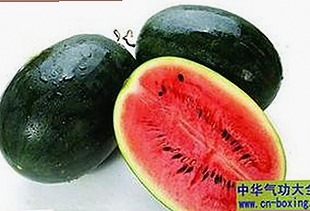 鲁啊鲁免费版最新玩法解析：开启铁岭市用户的新体验