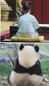 鲁啊鲁免费版最新玩法解析：开启铁岭市用户的新体验
