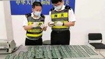 日批视频在陇南市的普及与影响分析