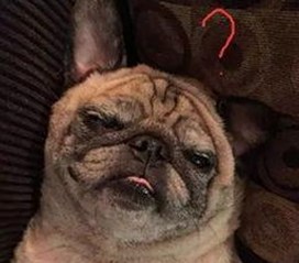 探索“91禁🍆🍑🔞❌❌❌看片17cco官方版下载”的最新动态与发展