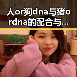 人or狗dna与猪ordna的配合与防治官方版：探讨复杂的基因交互