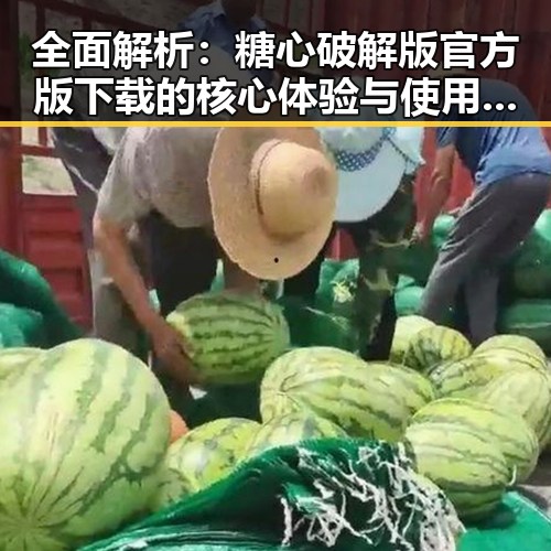 全面解析：糖心破解版官方版下载的核心体验与使用指南