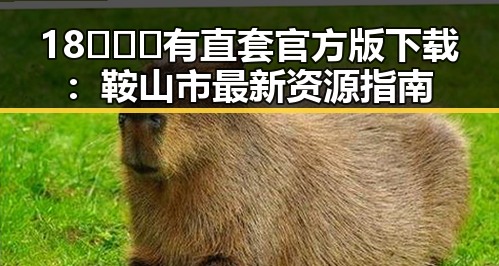 18❌❌❌有直套官方版下载：鞍山市最新资源指南