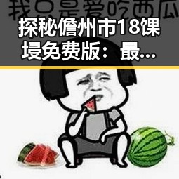 探秘儋州市18馃埐免费版:最新实用指南