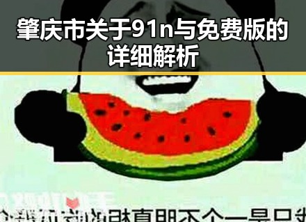 肇庆市关于91n与免费版的详细解析