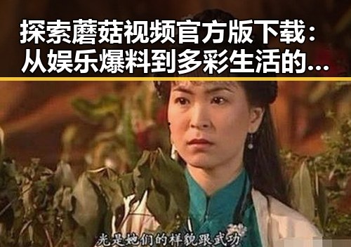 探索蘑菇视频官方版下载：从娱乐爆料到多彩生活的桥梁