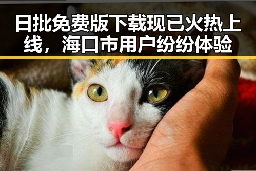 日批免费版下载现已火热上线，海口市用户纷纷体验