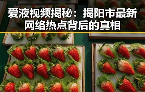 爱液视频揭秘:揭阳市最新网络热点背后的真相