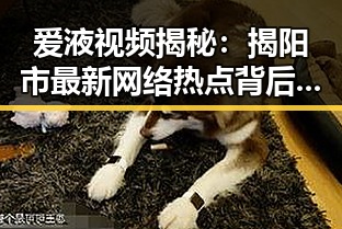 爱液视频揭秘:揭阳市最新网络热点背后的真相