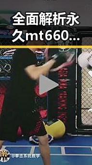 全面解析永久mt660与免费版的区别与应用