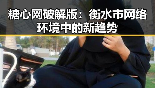 糖心网破解版:衡水市网络环境中的新趋势
