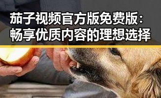 茄子视频官方版免费版：畅享优质内容的理想选择