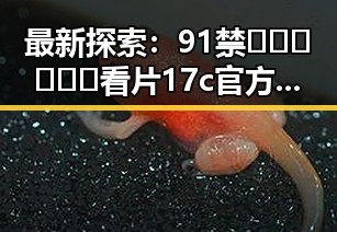 最新探索：91禁🍆🍑🔞❌❌❌看片17c官方版免费版现状分析